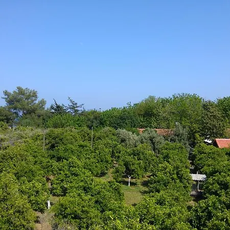 Hotel Olympos Çıralı