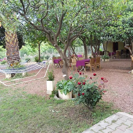 Olympos Hotel Cirali